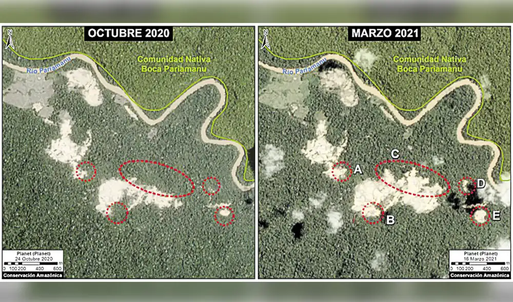 Revelador. Las fotografías del MAAP confirman que la deforestación en la zona del Pariamanu se ha extendido con celeridad y en forma alarmante. Foto: difusión Revelador. Las fotografías del MAAP confirman que la deforestación en la zona del Pariamanu se ha extendido con celeridad y en forma alarmante. Foto: difusión