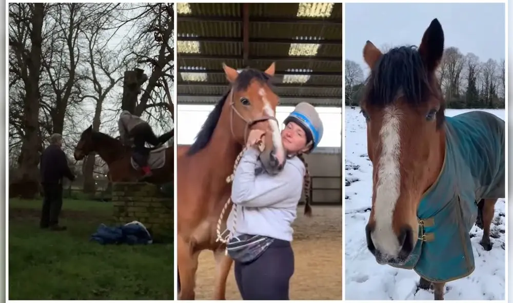 En algunas semanas, la entrenadora pudo rehabilitar al animal y ponerlo a buen recaudo. Foto: captura de YouTube