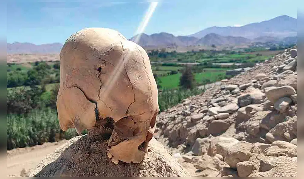 Restos arqueológicos. Algunos estaban desperdigados después que pasó la maquinaria.