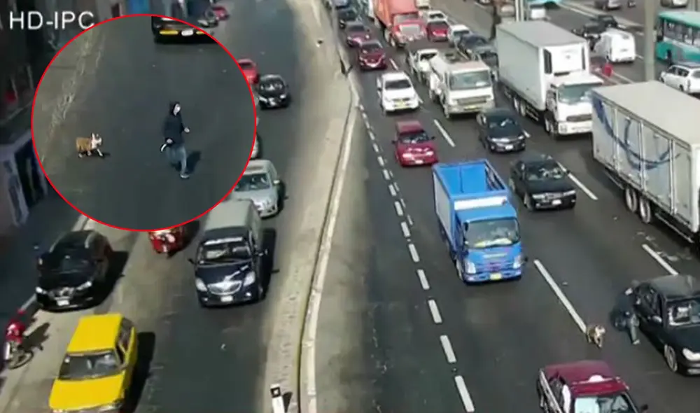 La gerencia de Seguridad Ciudadana del distrito identificó a los malhechores y ya dio parte a la PNP para su pronta captura. Foto: composición La República