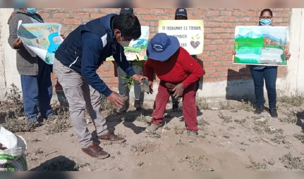 Vecinos sembraron las plantas en las fachadas de sus viviendas. Foto: Municipalidad de Paucarpata Vecinos sembraron las plantas en las fachadas de sus viviendas. Foto: Municipalidad de Paucarpata