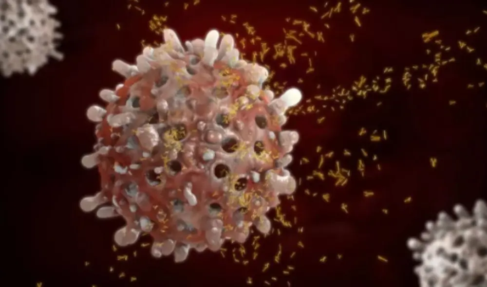 Célula B rodeada de anticuerpos. Foto: Christoph Burgstedt / Biblioteca de fotos de ciencia