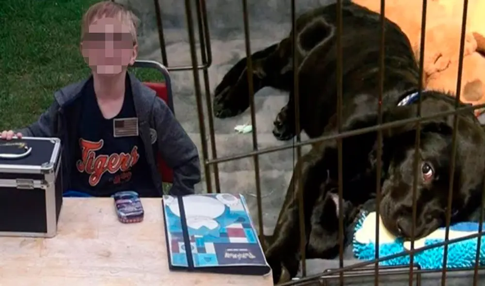 Un niño no tenía el dinero para pagar la operación de su mascota, por ello, puso a la venta sus objetos más preciados para conseguir el objetivo. Foto: Kymberly Woodruff/ Facebook