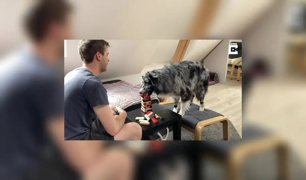 Según se señala en la descripción del video, Florian comenzó el adiestramiento de Morty lanzándole piezas. Foto: captura de YouTube Según se señala en la descripción del video, Florian comenzó el adiestramiento de Morty lanzándole piezas. Foto: captura de YouTube