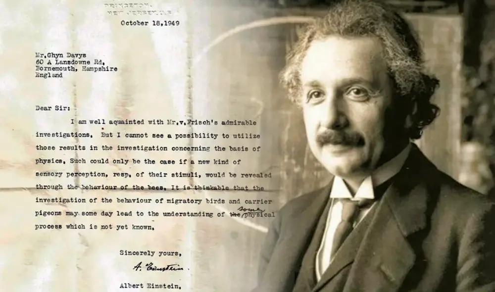 Los pensamientos de Albert Einstein sobre física y su futura relación con el comportamiento animal cobraron sentido siete décadas después. Foto: composición/Wikimedia Commons/Dyer et al., J Comp Physiol A, 2021