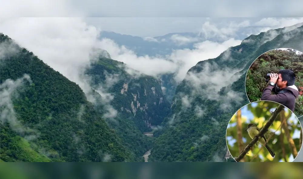 El registro fue hecho en las áreas de conservación de diferentes regiones. Foto: NCI