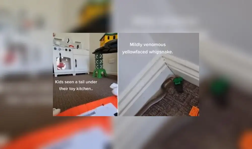 El video fue dado a conocer por la propia progenitora. Foto: captura de TikTok