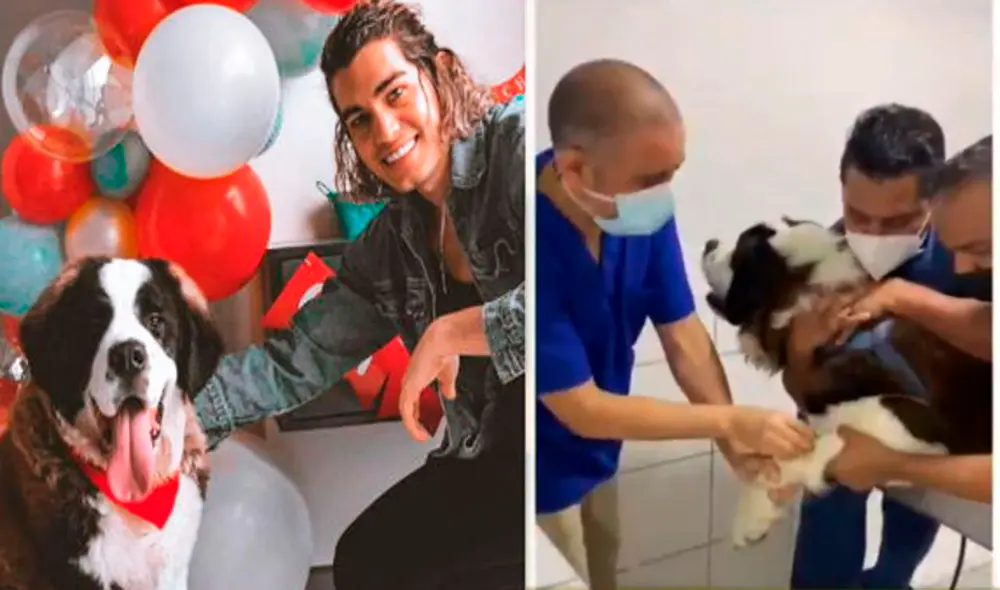 Giuseppe Benignini adoptó al perro cuando mantenía una relación con Michelle Soifer.  Foto: Instagram / captura ATV