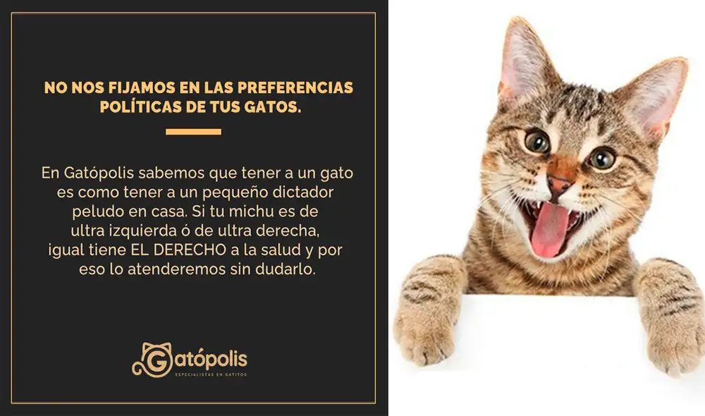 La salud de los animales es un derecho universal que va por encima de las preferencias políticas de los propietarios, señaló Eduardo Cava. Foto: composición Facebook Gatópolis La salud de los animales es un derecho universal que va por encima de las preferencias políticas de los propietarios, señaló Eduardo Cava. Foto: composición Facebook Gatópolis