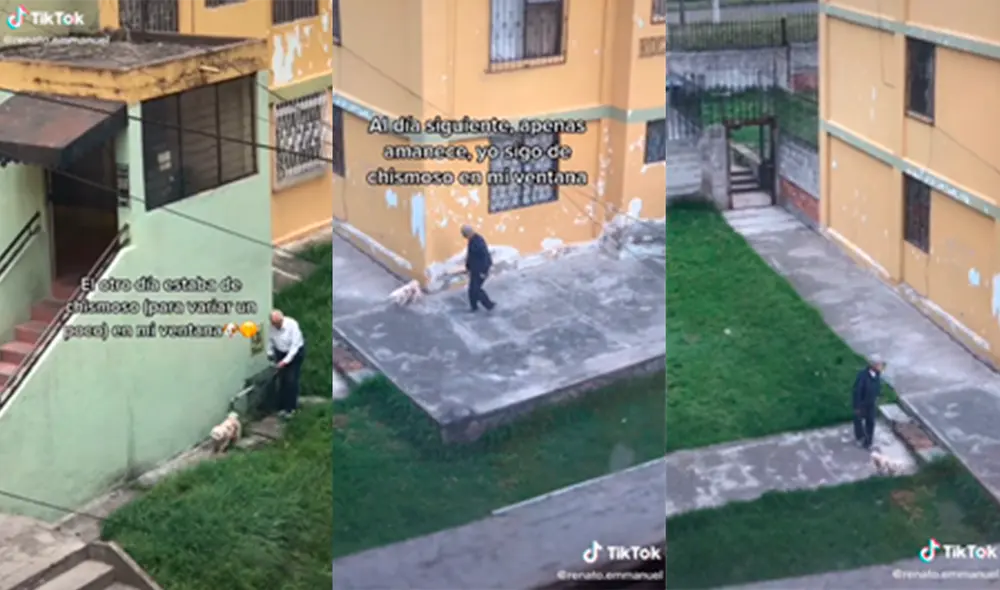 TikTok viral: joven graba a un adulto mayor mientras pasea con su ...