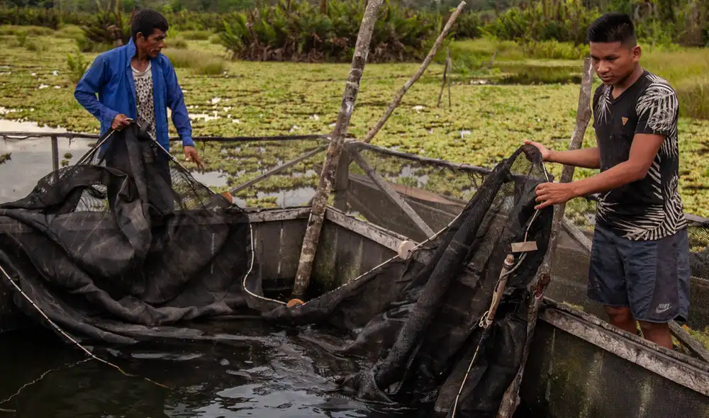 La pesca representa una actividad económica de mucha importancia en la Amazonía peruana. Foto: WWF