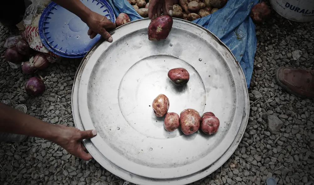 El principal proveedor de papa prefrita en el Perú durante el primer cuatrimestre del 2021 fue Países Bajos, con colocaciones por encima de los US$ 4 millones 612 mil 000. Foto: La República