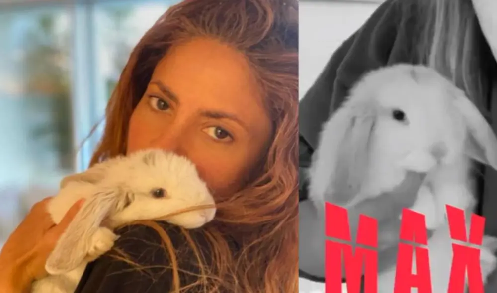 Shakira triste por la partida de su mascota. Foto: Shakira/Instagram