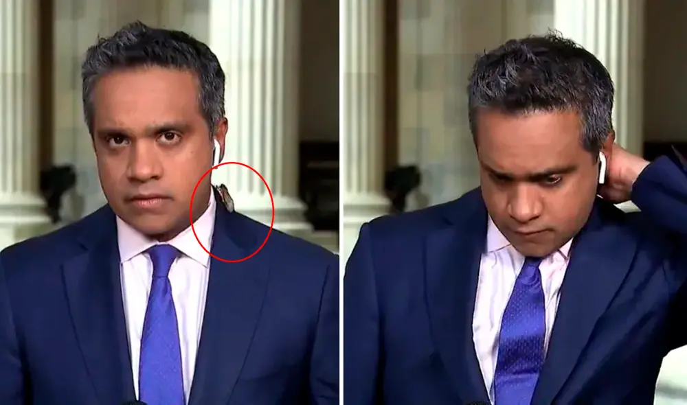 El reportero veterano retrocedió asustado, mientras sus colegas reían por el hecho. Foto: captura de Facebook