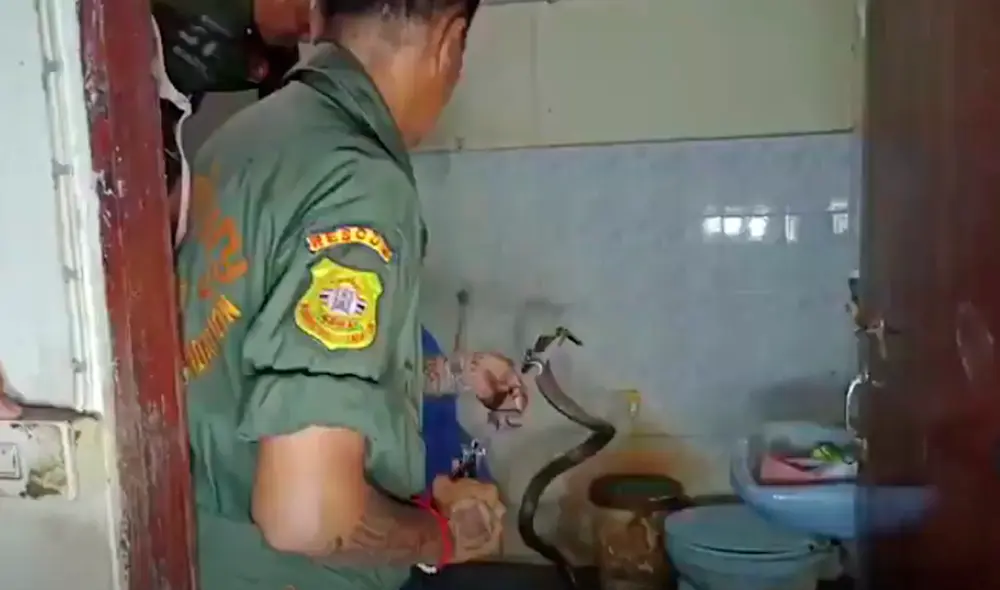 El video viral ha sido compartido en el canal Viral Press. Foto: captura de YouTube El video viral ha sido compartido en el canal Viral Press. Foto: captura de YouTube