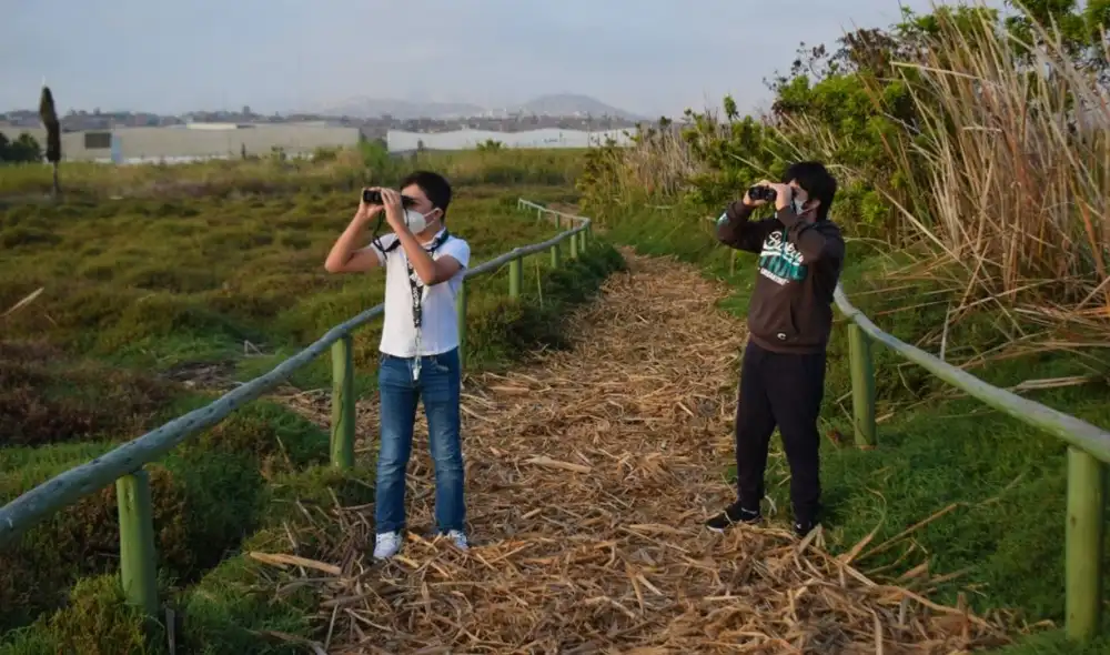 La iniciativa figura entre los 52 candidatos para un premio del Observatorio Internacional de la Democracia Participativa. Foto: MML La iniciativa figura entre los 52 candidatos para un premio del Observatorio Internacional de la Democracia Participativa. Foto: MML