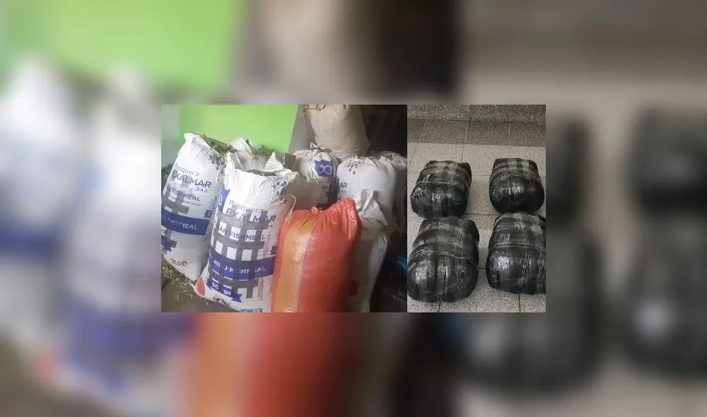 Los intervenidos no pudieron demostrar la legalidad y la documentación de la hoja de coca. Foto: PNP Los intervenidos no pudieron demostrar la legalidad y la documentación de la hoja de coca. Foto: PNP