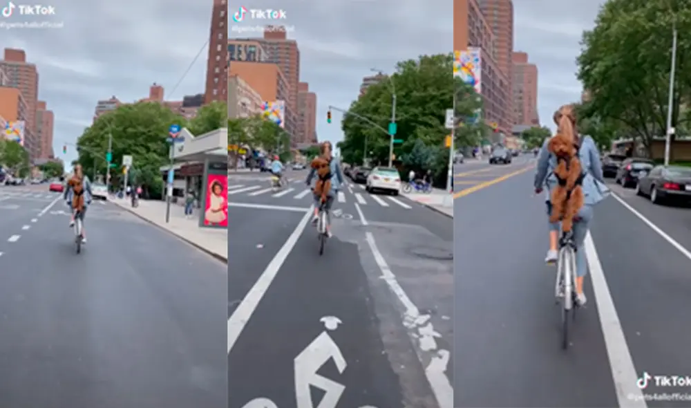 La mujer sorprendió a los transeúntes al desarrollar una adorable dinámica al pasear con su mascota. Foto: captura de TikTok
