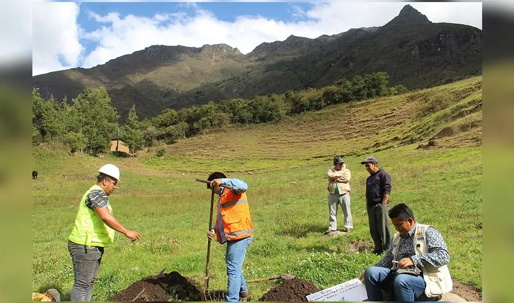 Trabajos de reforestación beneficiará a los agricultores, informó el Gobierno Regional de Piura.