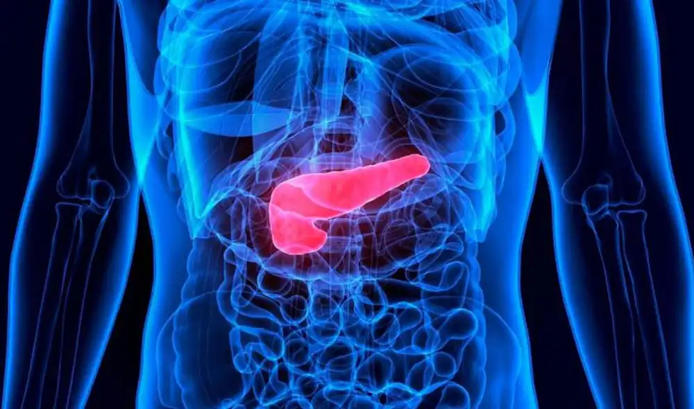 Equipo de científicos detectaron células del páncreas infectadas por el SARS-CoV-2. Imagen referencial: difusión