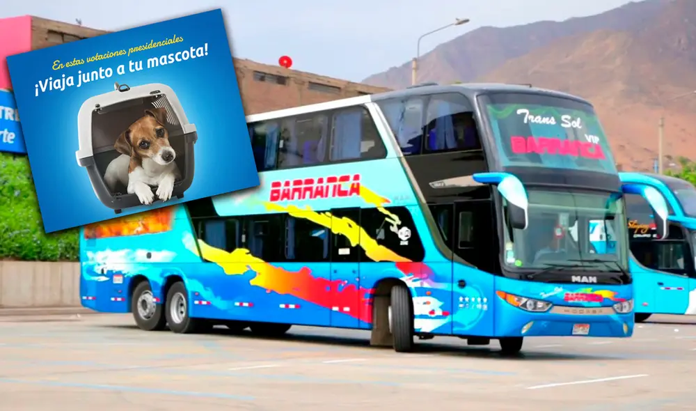 Empresa pide respetar las medidas de seguridad durante el viaje. Foto: composición LR / Facebook Empresa pide respetar las medidas de seguridad durante el viaje. Foto: composición LR / Facebook