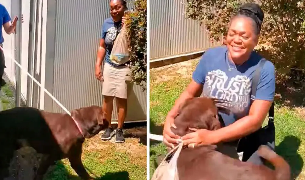 Un perrito corrió a los brazos de su verdadera dueña cuando la volvió a ver, debido a que escapó de casa y nunca más pudo regresar. Foto: captura de YouTube