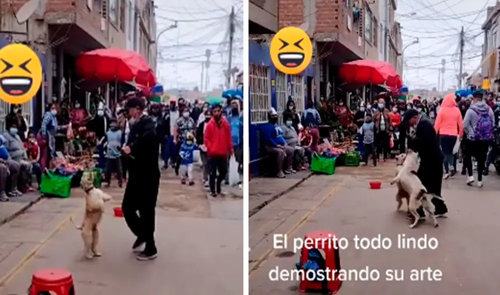 Un perrito apareció en un espectáculo que armaron en la calle; sin embargo, terminó peleándose con la mascota del artista. Foto: captura de Facebook