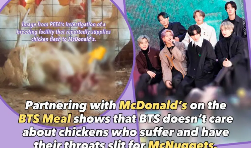 BTS es criticado por PETA Asia al ser acusados por promover el maltrato animal. Foto: Peta Asia BTS es criticado por PETA Asia al ser acusados por promover el maltrato animal. Foto: Peta Asia