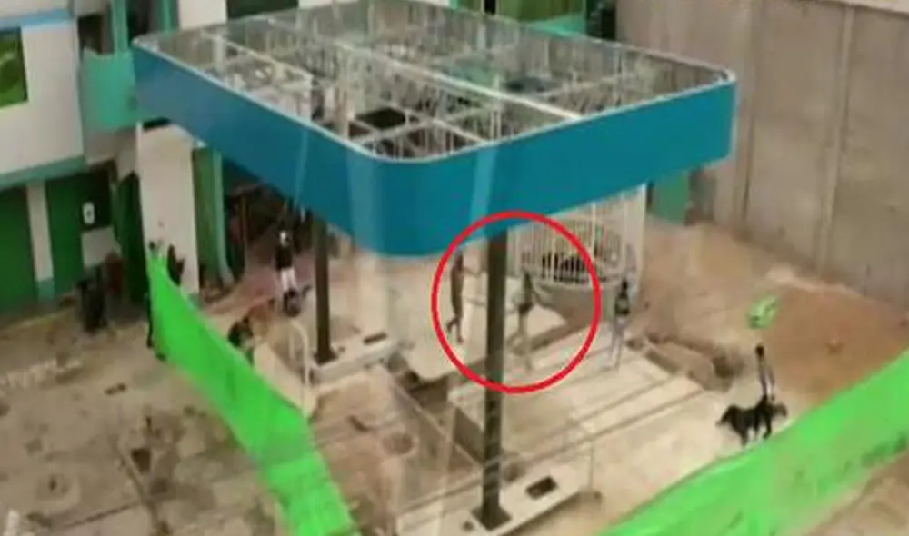 Ladrones se encuentran detenidos en la comisaría de Los Olivos. Foto: captura de Latina