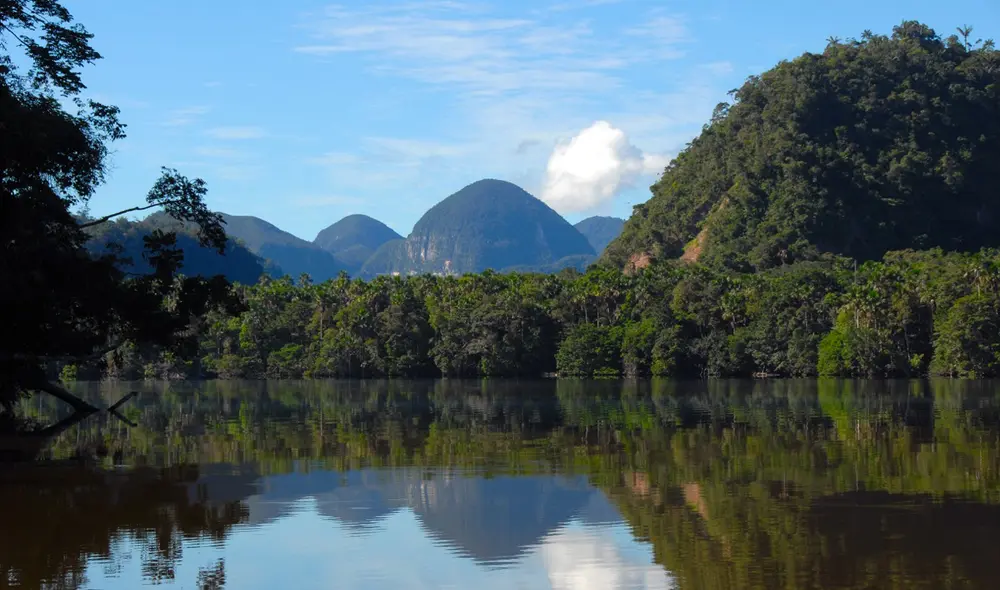 La deforestación de los bosques tropicales es un problema global. Foto: CIMA