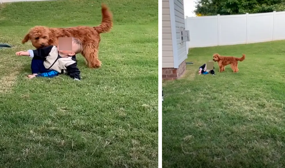 El video ha causado gran sensación en las redes sociales. Foto: captura de TikTok.