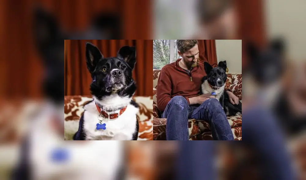 Mark Greener, uno de los encargados en atender al animal, dijo que de alguna manera Jake parece recordarlo y confía en él. Foto: captura de YouTube