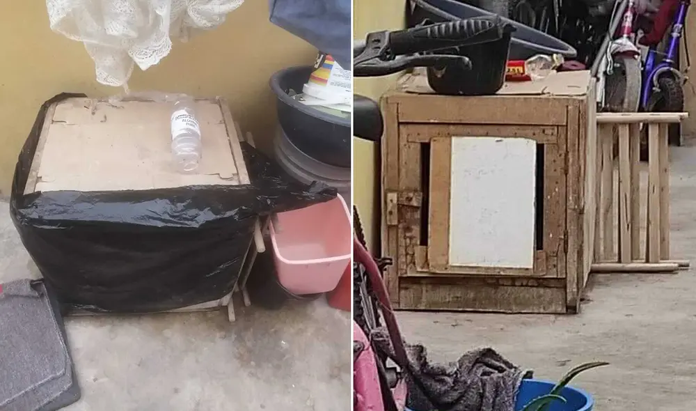 Usuarios también denunciaron el maltrato animal vía redes sociales. Foto: difusión