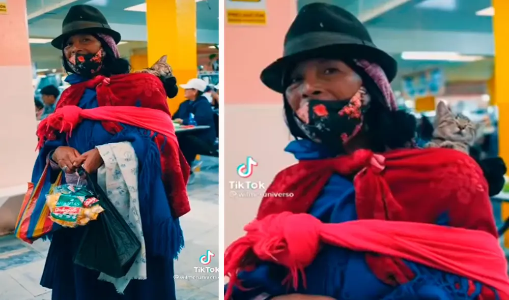 Un joven grabó el tierno momento en que un gatito acompañó a su dueña a realizar sus labores, con la intención de no quedarse solo en casa. Foto: captura de TikTok
