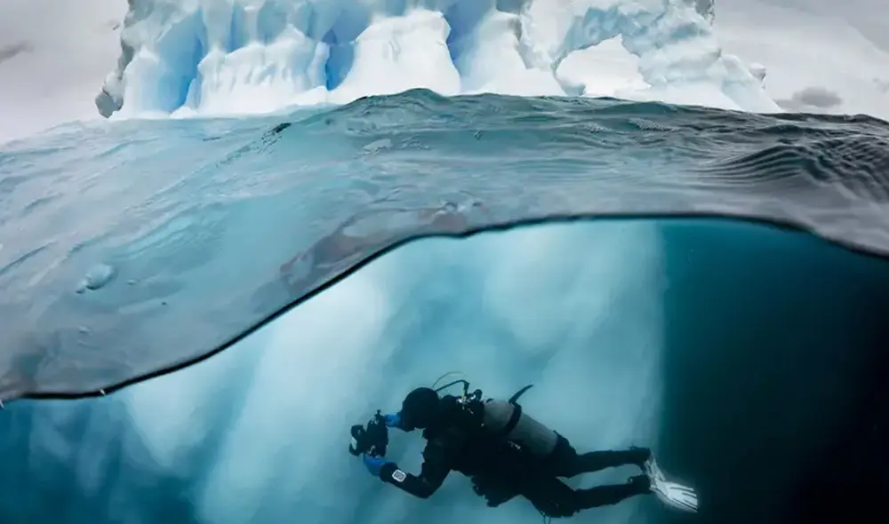 Documentales y especial de National Geographic por el Día Mundial de los Océanos. Foto: Disney Plus
