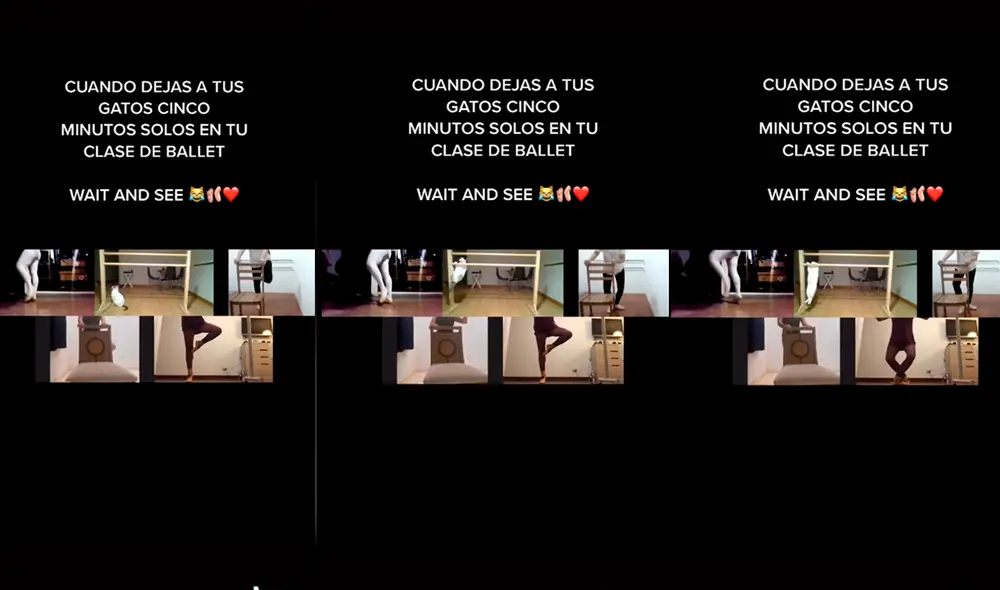 El minino sorprendió a los asistentes de la clase virtual con conmovedora actitud. Foto: captura de TikTok El minino sorprendió a los asistentes de la clase virtual con conmovedora actitud. Foto: captura de TikTok