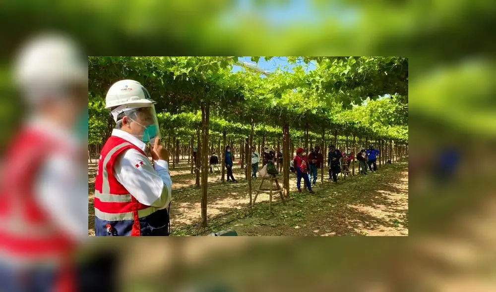 Inspección hizo que empresas respetan el derecho de sus trabajadores. Foto: difusión