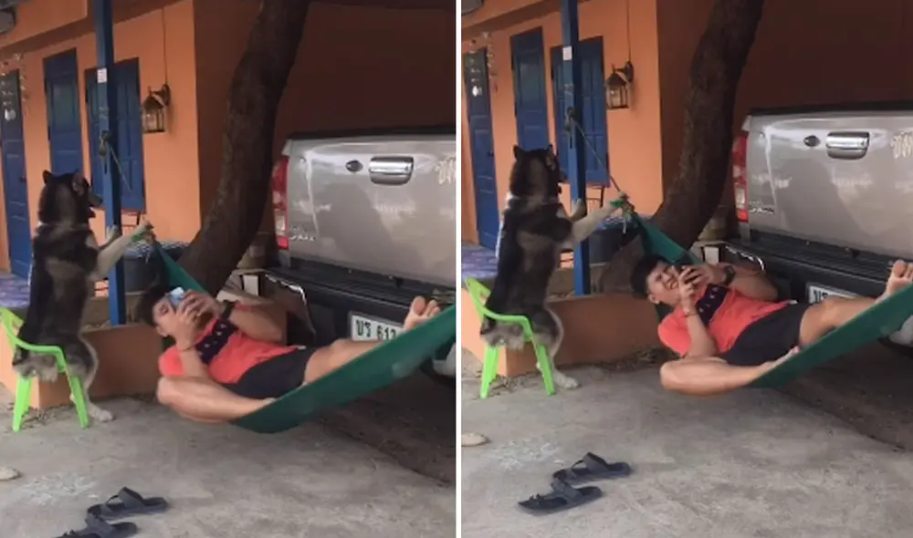 La conducta de este can cautivó a miles en las redes sociales. Foto: captura de YouTube