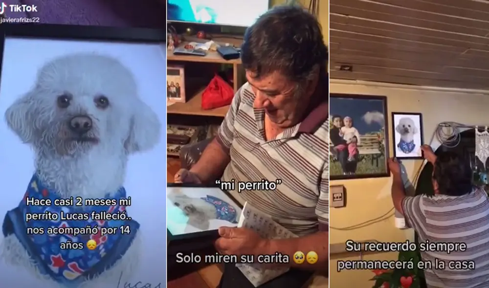 El emotivo video se volvió viral en redes sociales. Foto: captura de TikTok