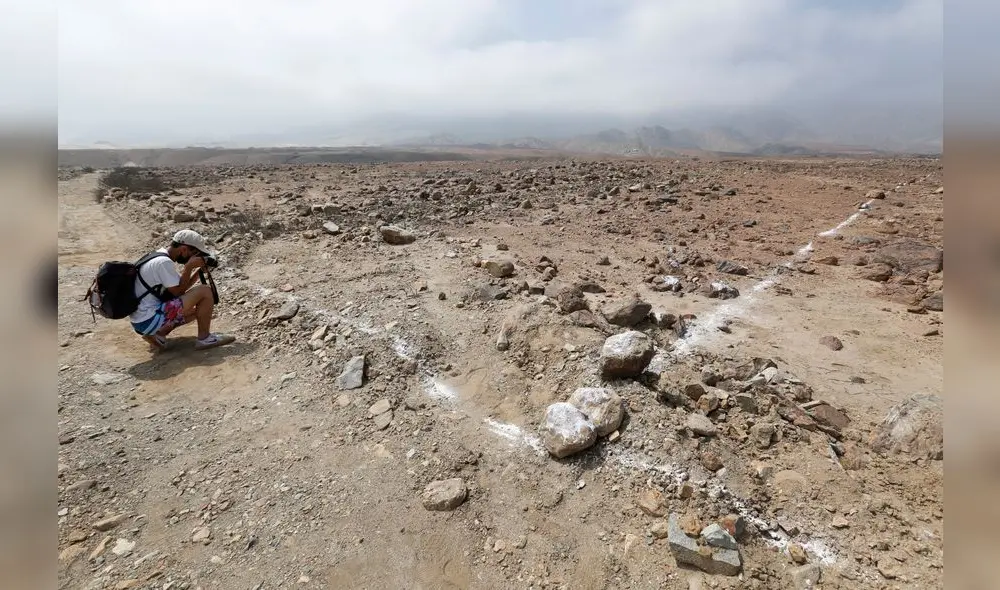 Sujetos han delimitado área intangible y removido tierras. Foto: José Carlos Orrillo Puga Sujetos han delimitado área intangible y removido tierras. Foto: José Carlos Orrillo Puga