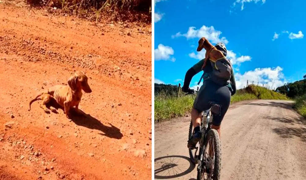 Una pareja salió a hacer su rutina de ejercicios diaria, sin imaginar que en el camino iban a hallar un perrito en mal estado y se lo llevaron a casa. Foto: Pelanka_Dachsund/ Facebook Una pareja salió a hacer su rutina de ejercicios diaria, sin imaginar que en el camino iban a hallar un perrito en mal estado y se lo llevaron a casa. Foto: Pelanka_Dachsund/ Facebook