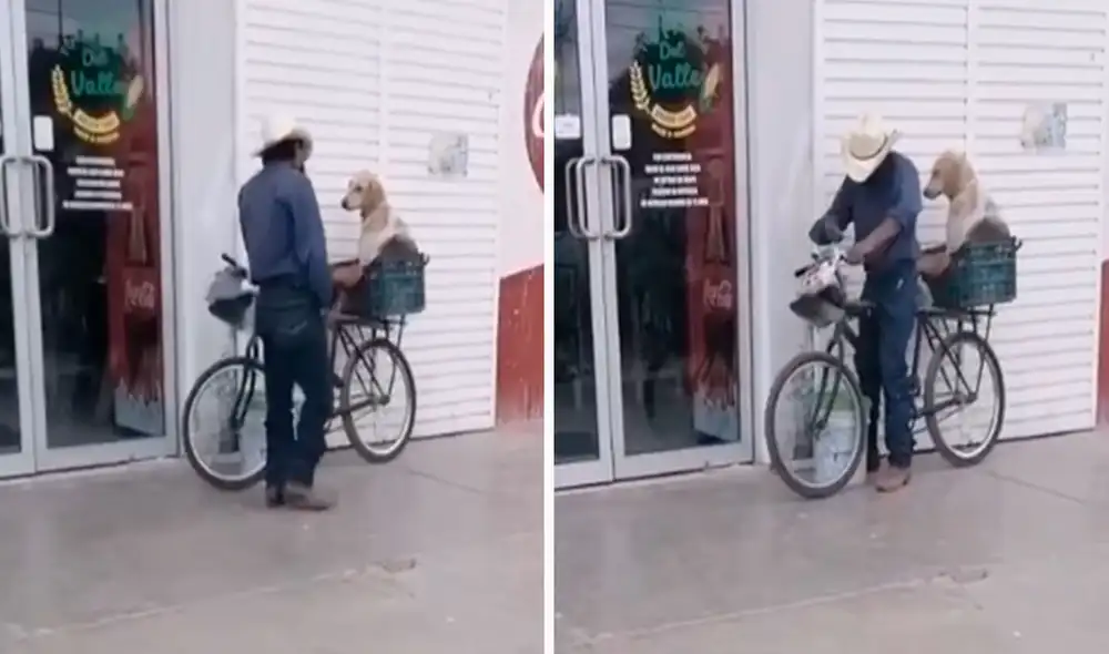 El hombre nunca se separaba de su adorable mascota, por ello, arregló su vehículo y cautivó a los transeúntes. Foto: captura de Facebook