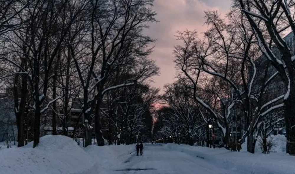 El solsticio de invierno de 2021 en la zona sur de la Tierra iniciará el 21 de junio. Foto: Unsplash.