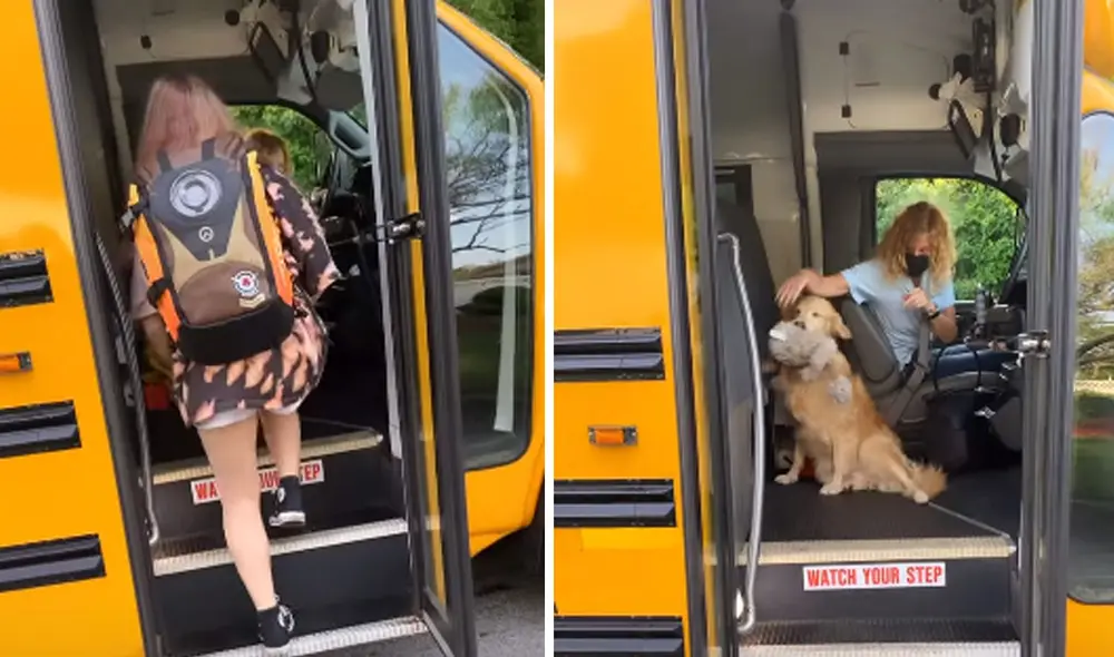La tierna acción del can logró conmover a miles en las redes sociales. Foto: captura de YouTube La tierna acción del can logró conmover a miles en las redes sociales. Foto: captura de YouTube