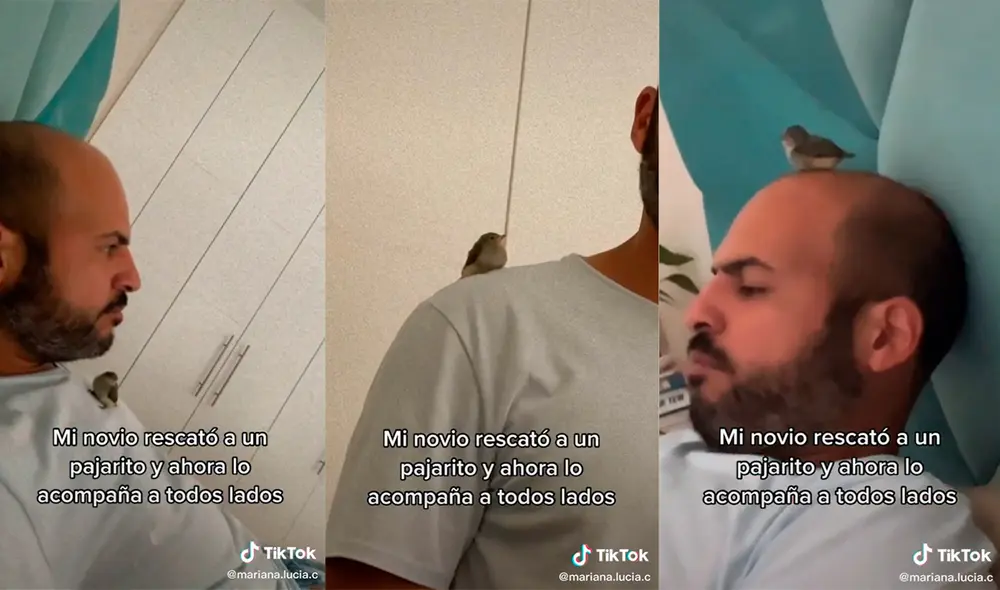 La mujer captó la enternecedora relación del hombre con su mascota. Foto: captura de TikTok