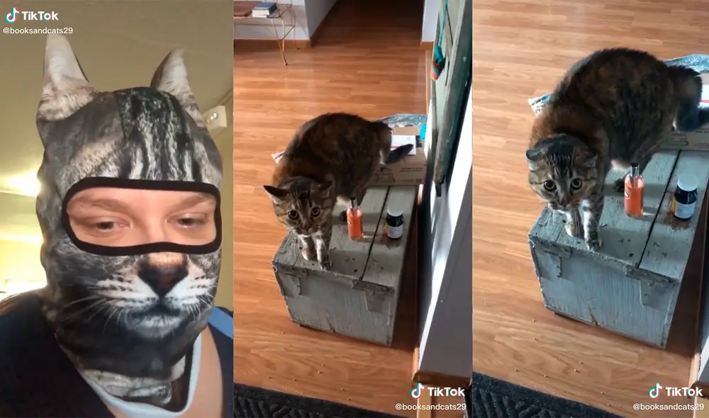 La mujer tuvo una divertida ocurrencia para captar la inesperada reacción del minino. Foto: captura de TikTok La mujer tuvo una divertida ocurrencia para captar la inesperada reacción del minino. Foto: captura de TikTok
