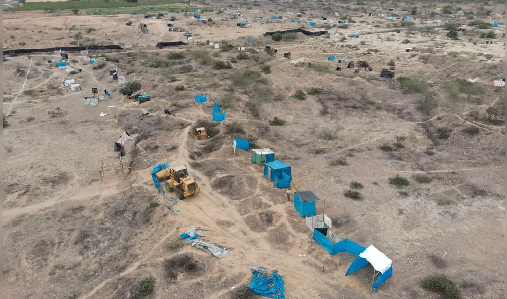 Invasores talaron árboles y usaron la madera para construir sus chozas. Foto: Sernanp Invasores talaron árboles y usaron la madera para construir sus chozas. Foto: Sernanp