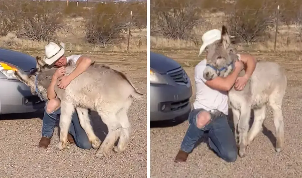 Las imágenes causaron ternura entre miles de usuarios en las redes sociales. Foto: captura de Facebook