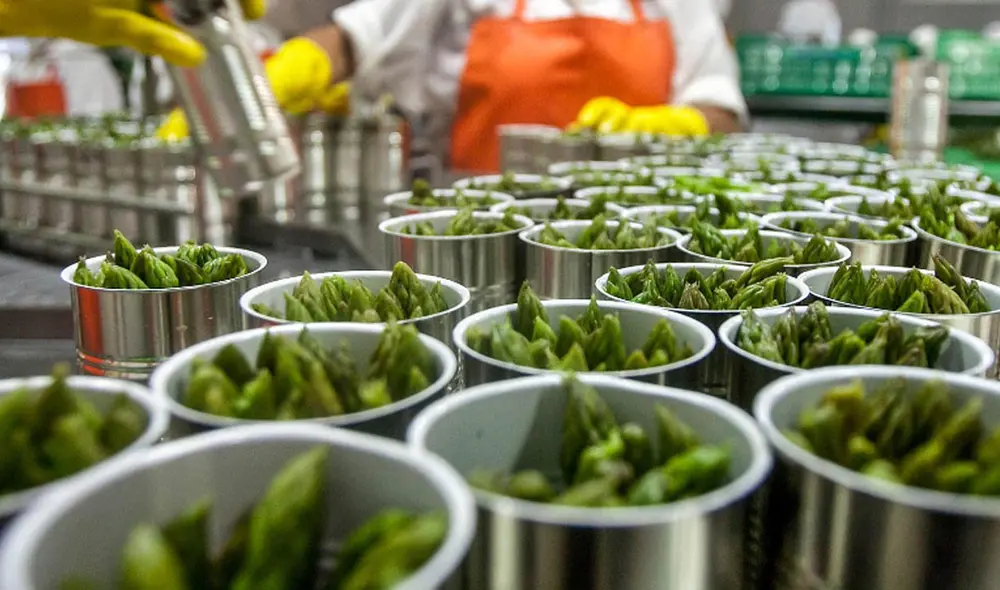 Los envíos de esta hortaliza durante el 2020 cayeron 12% en volumen y 7% en valor (410.033 toneladas por US$ 1.252 millones). Foto: La República Los envíos de esta hortaliza durante el 2020 cayeron 12% en volumen y 7% en valor (410.033 toneladas por US$ 1.252 millones). Foto: La República