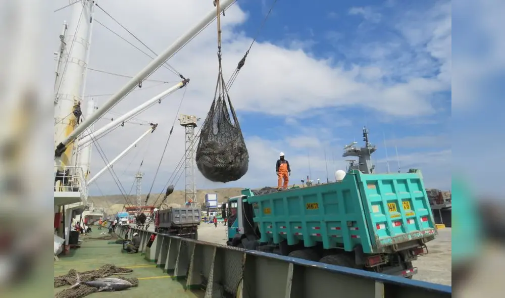 A la estación naval de Paita llegó la materia prima para producir las conservas. Foto: CITEpesquero Piura